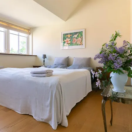 Avalonbnb Odense